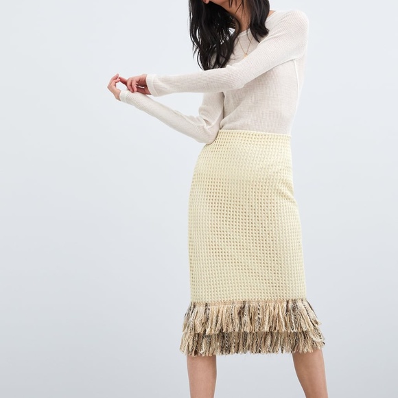 Zara Dresses & Skirts - NWT ZARA KNIT MESH BLOGGER SKIRT Medium Stunning
